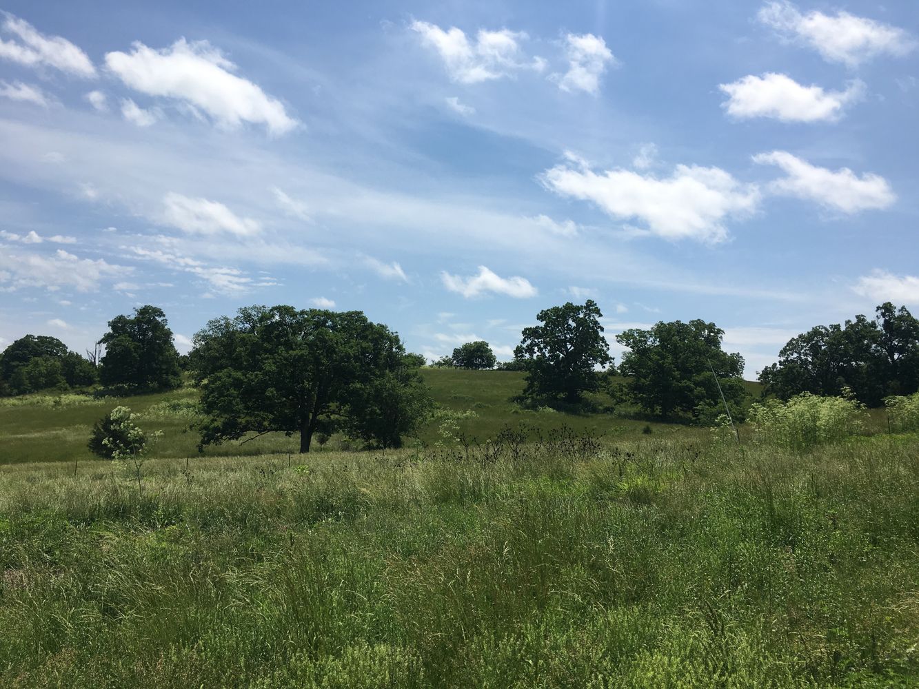 4897 & 4878 Norman Drive, Hartville, MO 65667